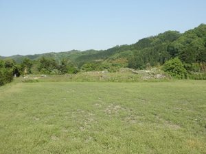 江美城