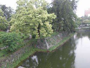 津城