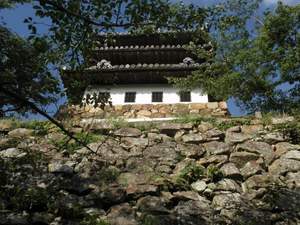 洲本城