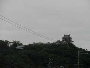 撫養城