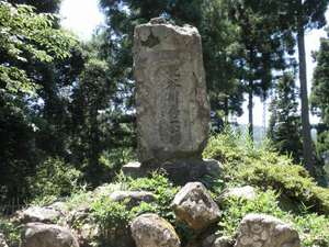 東郷槙山城