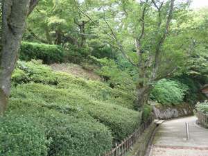 小丸山城