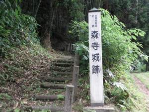 森寺城