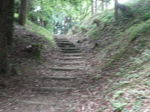 森寺城