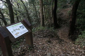 津久井城（筑井城）