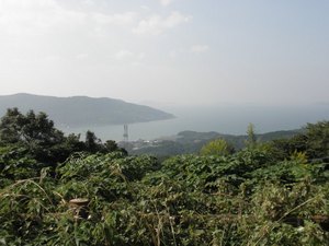梶谷城
