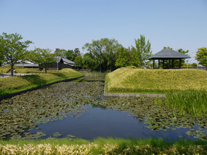 難波田城