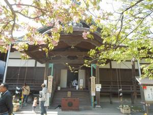 八幡山城