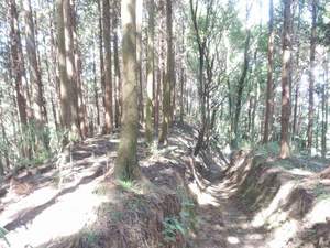 上赤坂城