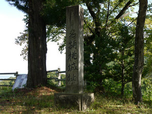 名胡桃城