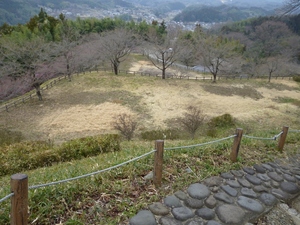 後閑城