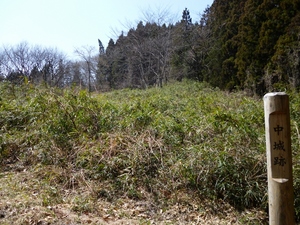 岩櫃城