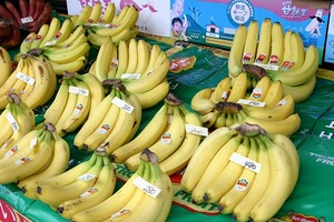 松田邦彦青果