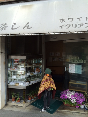 茶しん