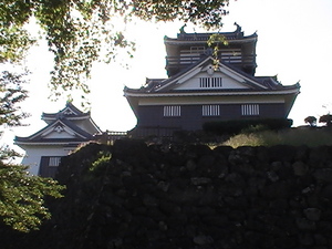 越前大野城
