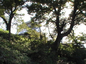 越前大野城
