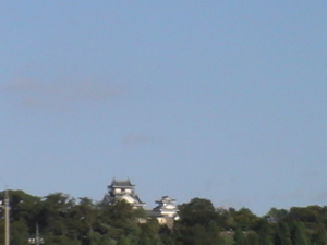 越前大野城