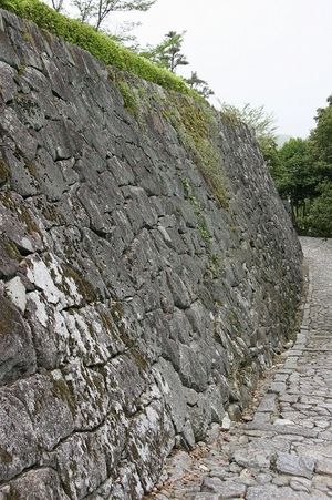 上野城