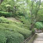 小丸山城
