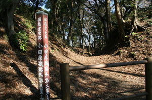小田原城