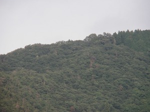 白旗城