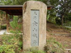 新田金山城