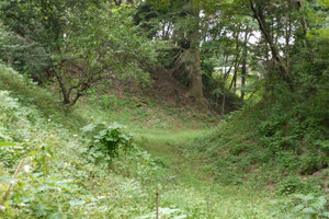 滝の城