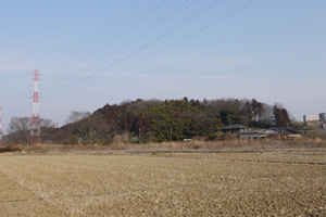 杉山城