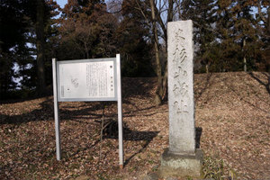 杉山城