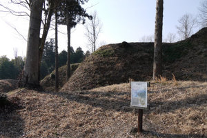 杉山城