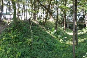 小山城