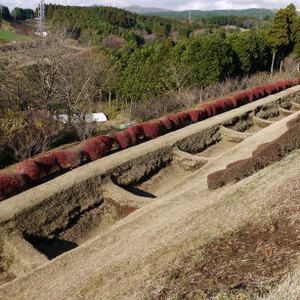 山中城