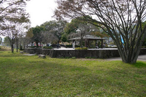 坂本城