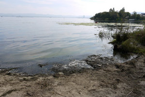 坂本城