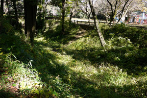 小山城
