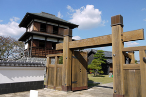 田中城
