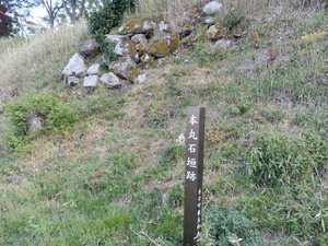 水口岡山城