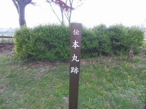 水口岡山城