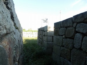 淀城
