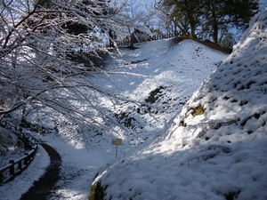 河村城