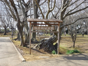 佐倉城
