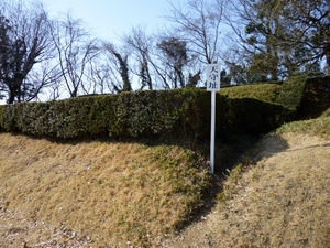 佐倉城