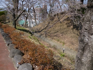 佐野城