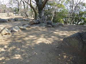 佐野城