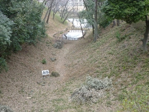 雉ヶ岡城
