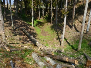 白井城
