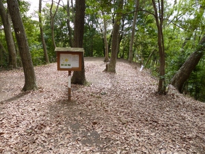 小沢城
