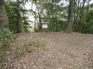 小沢城