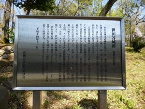 世田谷城