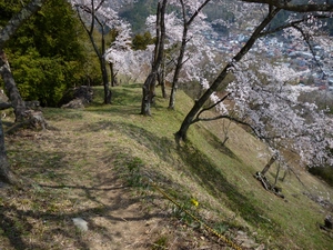 勝山城